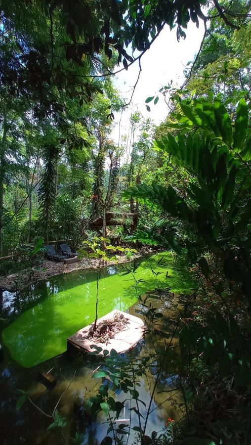 Cantalarana Lodge Mindo Ngoại thất bức ảnh