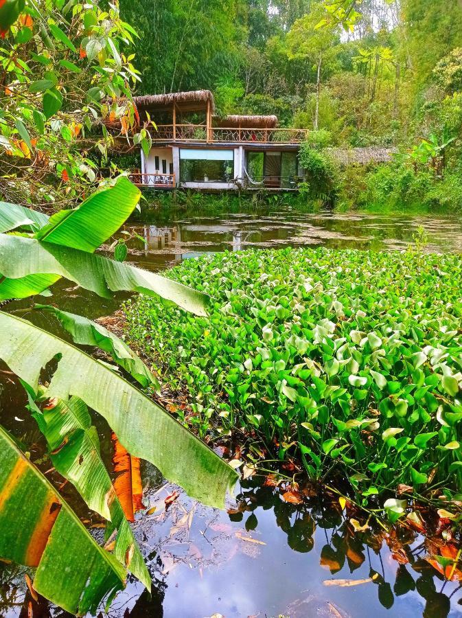 Cantalarana Lodge Mindo Ngoại thất bức ảnh