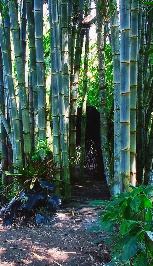 Cantalarana Lodge Mindo Ngoại thất bức ảnh