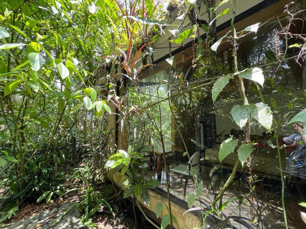 Cantalarana Lodge Mindo Ngoại thất bức ảnh