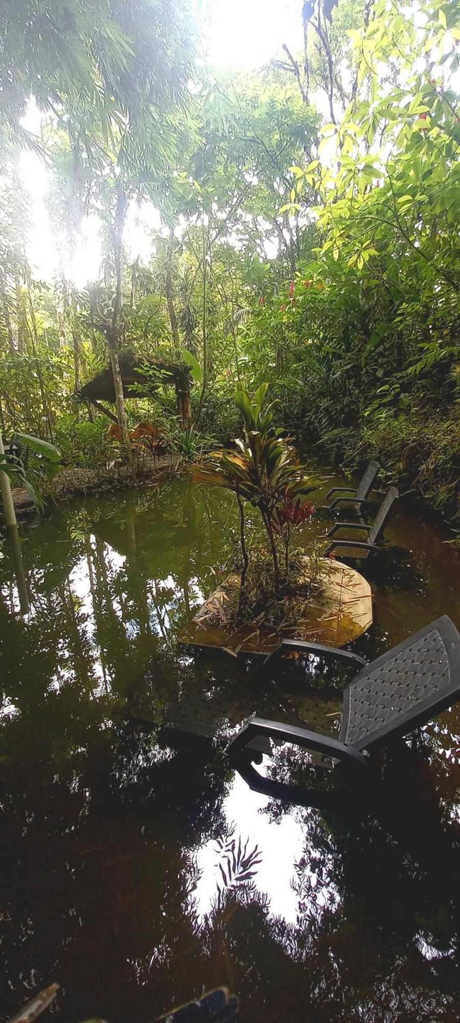 Cantalarana Lodge Mindo Ngoại thất bức ảnh