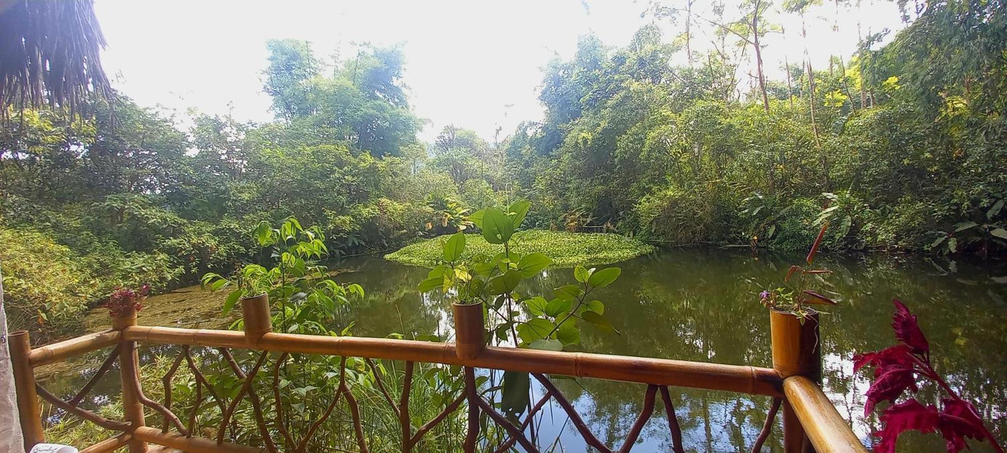 Cantalarana Lodge Mindo Ngoại thất bức ảnh