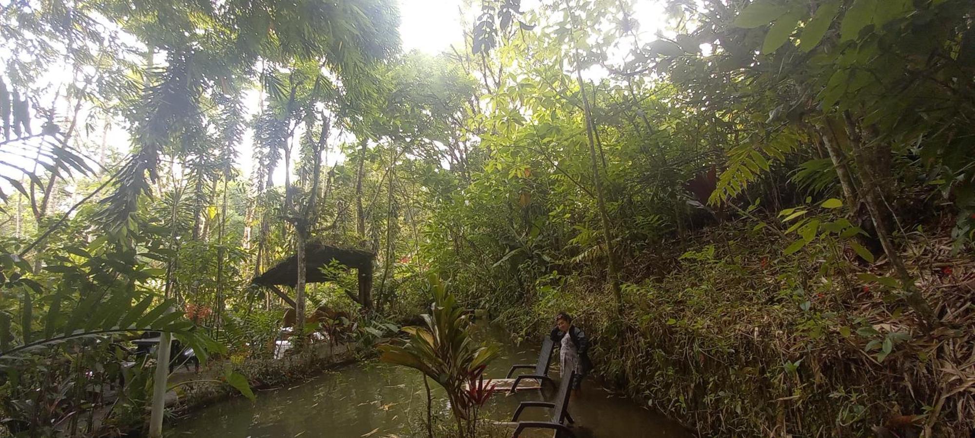 Cantalarana Lodge Mindo Ngoại thất bức ảnh