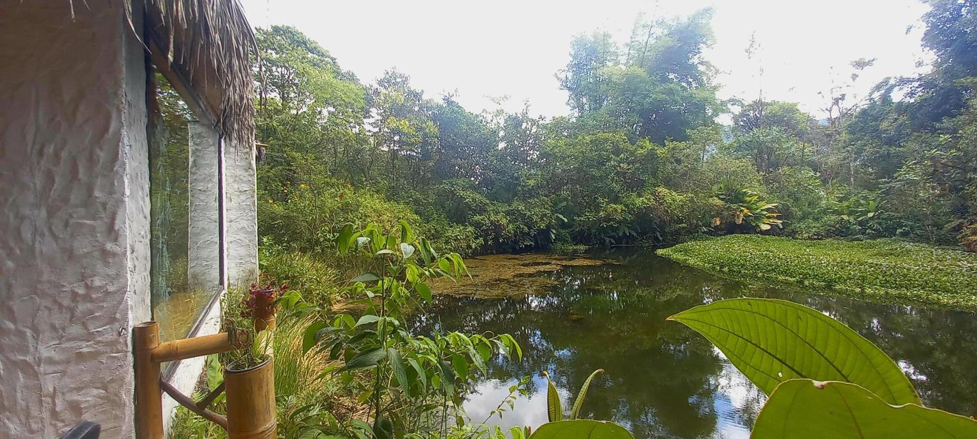 Cantalarana Lodge Mindo Phòng bức ảnh